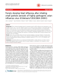 Báo cáo y học: "Ferrets develop fatal influenza after inhaling small particle aerosols of highly pathogenic avian influenza virus A/Vietnam/1203/2004 (H5N1"