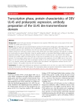 Báo cáo y học: "Transcription phase, protein characteristics of DEV UL45 and prokaryotic expression, antibody preparation of the UL45 des-transmembrane domain"