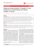 Báo cáo y học: "Molecular characterization of hepatitis A virus isolates from environmental and clinical samples in Greece"