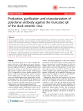 Báo cáo y học: "Production, purification and characterization of polyclonal antibody against the truncated gK of the duck enteritis virus"