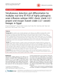 Báo cáo y học: " Simultaneous detection and differentiation by multiplex real time RT-PCR of highly pathogenic avian influenza subtype H5N1 classic (clade 2.2.1 proper) and escape mutant (clade 2.2.1 variant) lineages in Egypt"