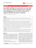 Báo cáo y học: " MicroRNA profiling of tomato leaf curl new delhi virus (tolcndv) infected tomato leaves indicates that deregulation of mir159/319 and mir172 might be linked with leaf curl disease"