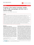 Báo cáo y học: " T4 genes in the marine ecosystem: studies of the T4-like cyanophages and their role in marine ecology"