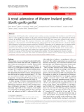 Báo cáo y học: " A novel adenovirus of Western lowland gorillas (Gorilla gorilla gorilla)"