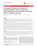 Báo cáo y học: "A neurotropic herpesvirus infecting the gastropod, abalone, shares ancestry with oyster herpesvirus and a herpesvirus associated with the amphioxus genome"