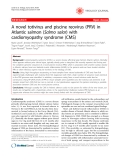 Báo cáo y học: " A novel totivirus and piscine reovirus (PRV) in Atlantic salmon (Salmo salar) with cardiomyopathy syndrome (CMS)"