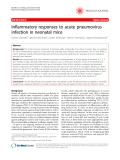 Báo cáo y học: "Inflammatory responses to acute pneumovirus infection in neonatal mice"