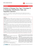 Báo cáo y học: " Evolution of Dengue Virus Type 3 Genotype III in Venezuela: Diversification, Rates and Population Dynamics"