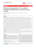 Báo cáo y học: " Molecular characterization of two distinct monopartite begomoviruses infecting tomato in india"