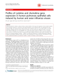 Báo cáo y học: " Profiles of cytokine and chemokine gene expression in human pulmonary epithelial cells induced by human and avian influenza viruses"