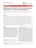 Báo cáo y học: "Identification and isolation of Genotype-I Japanese Encephalitis virus from encephalitis patients"