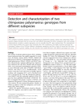 Báo cáo y học: "Detection and characterization of two chimpanzee polyomavirus genotypes from different subspecies"