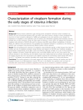 Báo cáo y học: "Characterization of viroplasm formation during the early stages of rotavirus infection"