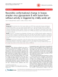 Báo cáo y học: "Reversible conformational change in herpes simplex virus glycoprotein B with fusion-fromwithout activity is triggered by mildly acidic pH"