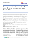 báo cáo khoa học:"  The caregiving relationship and quality of life among partners of stroke survivors: A crosssectional study"