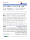 báo cáo khoa học:" Impact of dizziness on everyday life in older primary care patients: a cross-sectional study"