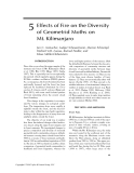 Land Use Change and Mountain Biodiversity - Chapter 5