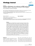 Báo cáo khoa học: " Inhibition of Monkeypox virus replication by RNA interference"