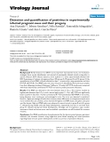 Báo cáo khoa học: " Detection and quantification of pestivirus in experimentally infected pregnant ewes and their progeny"