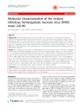 Báo cáo khoa học: "Molecular characterization of the virulent infectious hematopoietic necrosis virus (IHNV) strain 220-90"