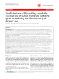 Báo cáo khoa học: "Small interference RNA profiling reveals the essential role of human membrane trafficking genes in mediating the infectious entry of dengue virus"