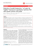 Báo cáo khoa học: "Detection of anatid herpesvirus 1 gC gene by TaqMan™ fluorescent quantitative real-time PCR with specific primers and probe"