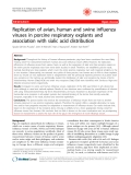 Báo cáo khoa học: " Replication of avian, human and swine influenza viruses in porcine respiratory explants and association with sialic acid distribution"
