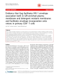 Báo cáo y học: "Evidence that Gag facilitates HIV-1 envelope association both in GPI-enriched plasma membrane and detergent resistant membranes and facilitates envelope incorporation onto virions in primary CD4+ T cells"