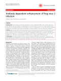 Báo cáo khoa học: "Antibody dependent enhancement of frog virus 3 infection"
