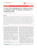 Báo cáo khoa học: " JC virus in the pathogenesis of colorectal cancer, an etiological agent or another component in a multistep process?"