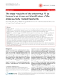 Báo cáo khoa học: " The cross-reactivity of the enterovirus 71 to human brain tissue and identification of the cross-reactivity related fragments"