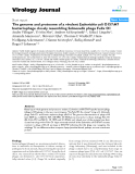 Báo cáo khoa học: " The genome and proteome of a virulent Escherichia coli O157:H7 bacteriophage closely resembling Salmonella phage Felix O1"