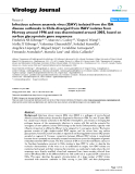 Báo cáo y học: "Infectious salmon anaemia virus (ISAV) isolated from the ISA disease outbreaks in Chile diverged from ISAV isolates from Norway around 1996 and was disseminated around 2005, based on surface glycoprotein gene sequences"