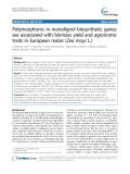 báo cáo khoa học: "  Polymorphisms in monolignol biosynthetic genes are associated with biomass yield and agronomic traits in European maize (Zea mays L.)"