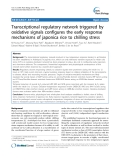 báo cáo khoa học: "  Transcriptional regulatory network triggered by oxidative signals configures the early response mechanisms of japonica rice to chilling stress"