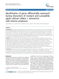 báo cáo khoa học: "  Identification of genes differentially expressed during interaction of resistant and susceptible apple cultivars (Malus × domestica) with Erwinia amylovora"