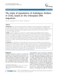 báo cáo khoa học: "  The origin of populations of Arabidopsis thaliana in China, based on the chloroplast DNA sequences"