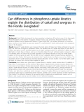 báo cáo khoa học: "  Can differences in phosphorus uptake kinetics explain the distribution of cattail and sawgrass in the Florida Everglades?"