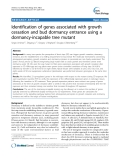 báo cáo khoa học: "  Identification of genes associated with growth cessation and bud dormancy entrance using a dormancy-incapable tree mutant"