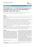 báo cáo khoa học: "  Polymorphisms in O-methyltransferase genes are associated with stover cell wall digestibility in European maize (Zea mays L.)"