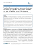 báo cáo khoa học: "  Traditional agroecosystems as conservatories and incubators of cultivated plant varietal diversity: the case of fig (Ficus carica L.) in Morocco"