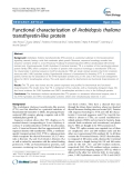 báo cáo khoa học: "  Functional characterization of Arabidopsis thaliana transthyretin-like protein"