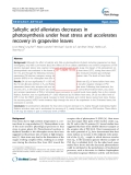 báo cáo khoa học: " Salicylic acid alleviates decreases in photosynthesis under heat stress and accelerates recovery in grapevine leaves"