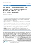 báo cáo khoa học: "  An unedited 1.1 kb mitochondrial orfB gene transcript in the Wild Abortive Cytoplasmic Male Sterility (WA-CMS) system of Oryza sativa L. subsp. indica"