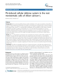 báo cáo khoa học: " Pb-induced cellular defense system in the root meristematic cells of Allium sativum L"