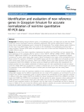 báo cáo khoa học: "  Identification and evaluation of new reference genes in Gossypium hirsutum for accurate normalization of real-time quantitative RT-PCR data"