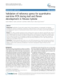 báo cáo khoa học: "  Validation of reference genes for quantitative real-time PCR during leaf and flower development in Petunia hybrida"