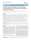 báo cáo khoa học: "  An R2R3 MYB transcription factor associated with regulation of the anthocyanin biosynthetic pathway in Rosaceae"