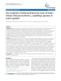 báo cáo khoa học: "  Accumulation of phenanthrene by roots of intact wheat (Triticum acstivnm L.) seedlings: passive or active uptake?"