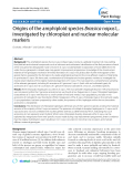 báo cáo khoa học: "  Origins of the amphiploid species Brassica napus L. investigated by chloroplast and nuclear molecular markers"